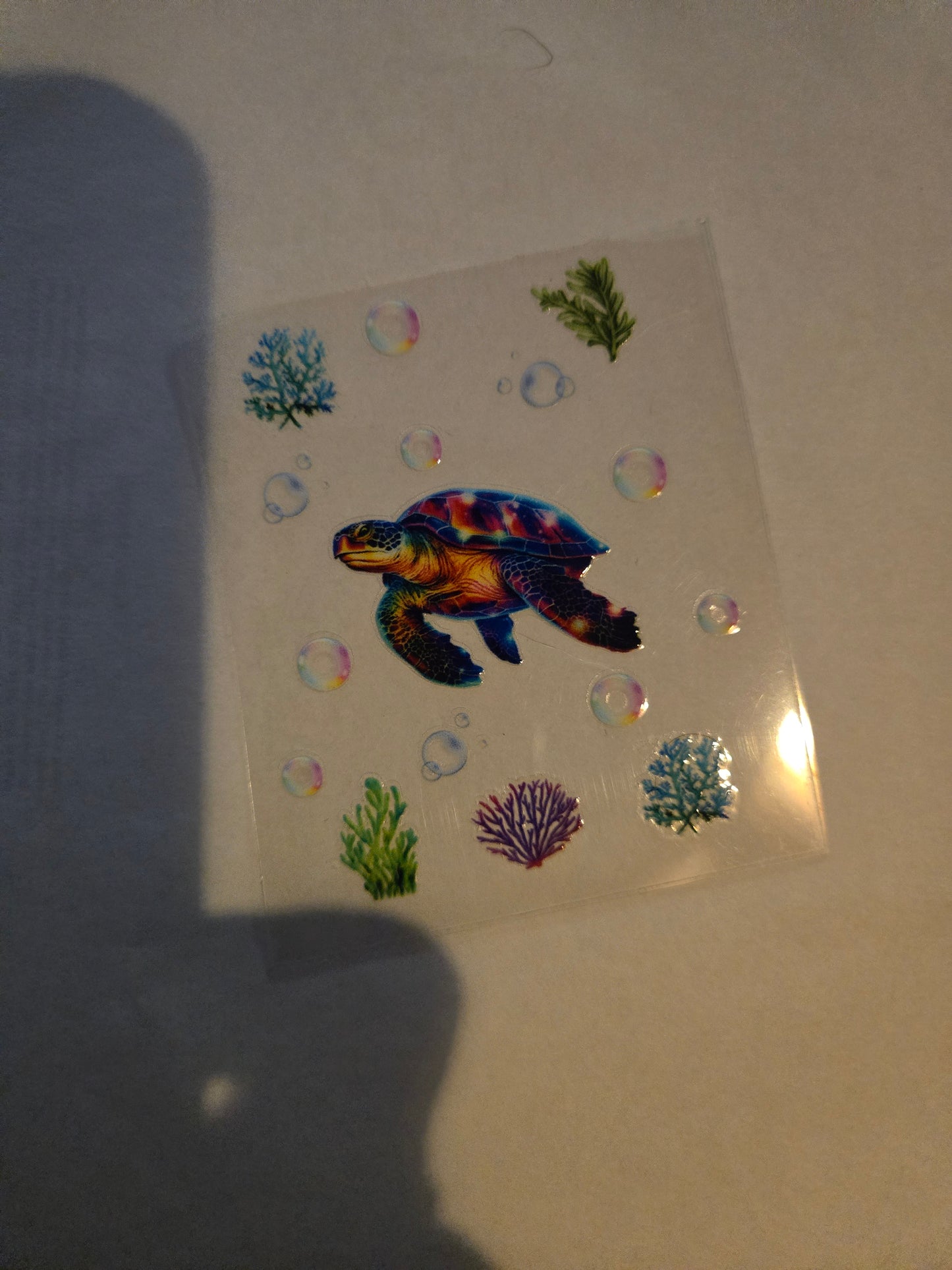 Sea Turtle